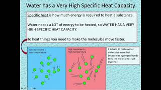 1.1.3 Water has high specific heat capacity and latent heat of vaporization