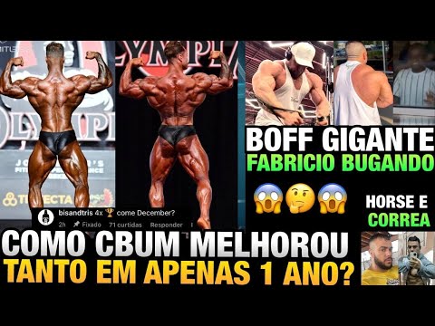 EVOLUÇÃO BIZARRA DO CBUM VOLTA A REPERCUTIR - VITOR BOFF IMENSO + FABRICIO, HORSE, CORREA E MAIS