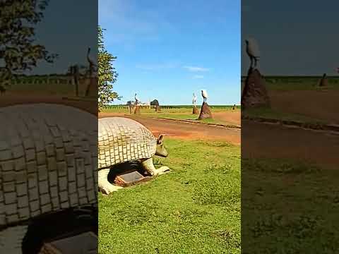 Parque Nacional das Emas        Mineiros Goias