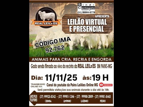 135º Leilão Virtual - Real Leilões - Pains MG