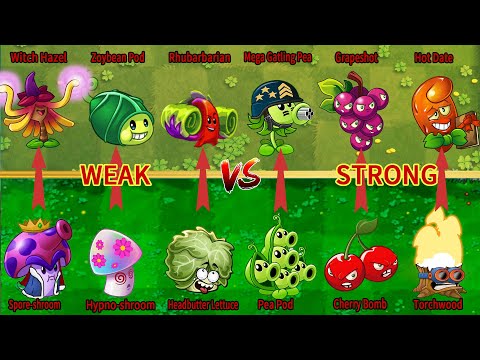 PvZ 2 Evolution Challenge - Best Plants WEAK Vs STRONG - Who Will Win ？