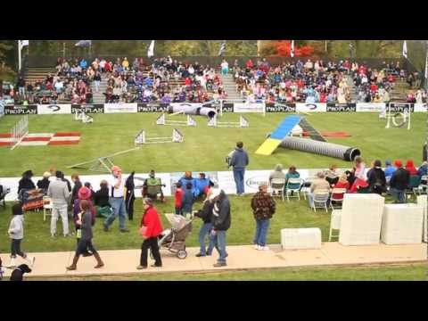 2012 Purina Pro Plan® Incredible Dog Challenge® National Finals Recap