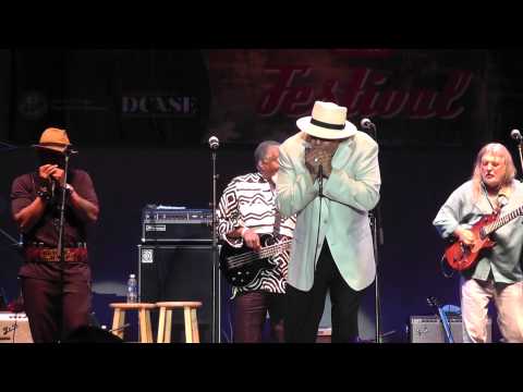 Finale - Tribute to Sonny Boy Williamson - Chicago Blues Festival 2014