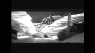 Conrad Schnitzler-ID 1 (Video) Experimental electronics