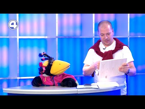 Дисциплины карате