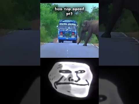 sri lanka bus 120+kmh 🤯🥵 #srilanka #srilanka #trending #sport #bus #army #bus #supra #Indiabus #new