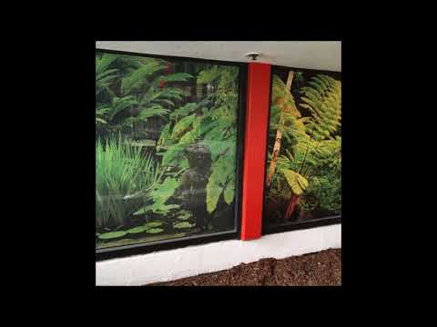 19. Smitty The BG - hidden wings [30.08.2017]