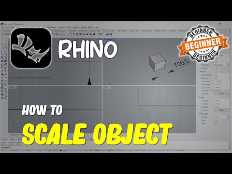Rhino How To Scale