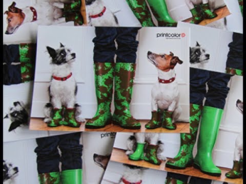 Magic Wipe - eine saubere Sache