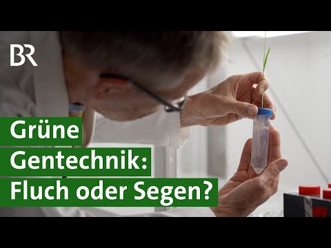 Hitze und Trockenheit, Klimawandel, Welthunger: Ist grüne Gentechnik die Lösung? | Unser Land | BR