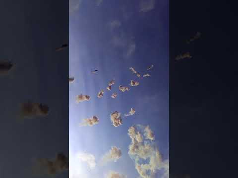 Adelfia 2017 Pirotecnica Bruscella A.