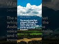 Wayra: The Whispers of the Wind Lead to Adventure 🍃