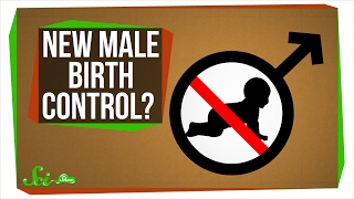 A New Male Birth Control?