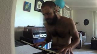 The Flaming Lips - They Punctured My Yolk cover