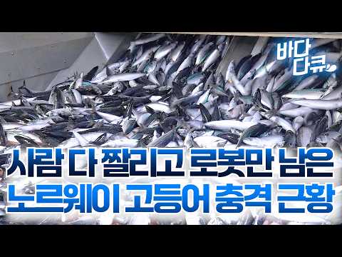 아이콘