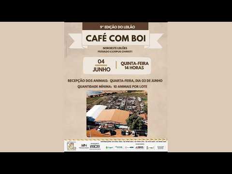 🐮9° EDIÇÃO DO LEILAO CAFÉ COM BOI - NOROESTE LEILOES  UNAI - MG