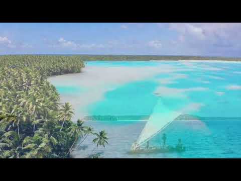 Taku lupe nei (cover by Afakasi Iasona)