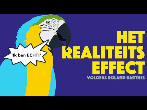 The Reality Effect According to Roland Barthes - VLOG BOOK