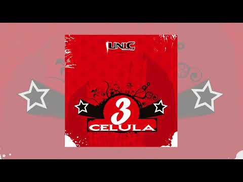 03. Liry cu DexStaR - Pamântul plouă oameni (Audio)