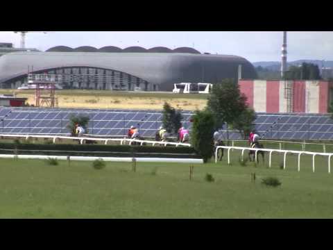 BR, 20. 6. 2015, 6. dostih - Letní moravská míle firmy MEWOTECH CZ, s.r.o.