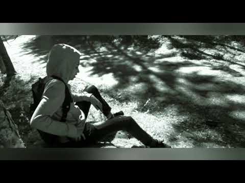 Svenska filmen salah