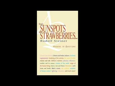 From Sunspots to Strawberries by Rudolf Steiner