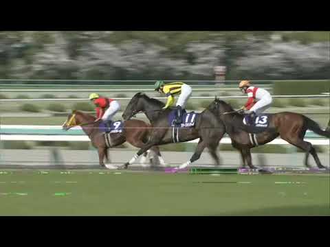 2023 JRA HANSHIN The Osaka Hai