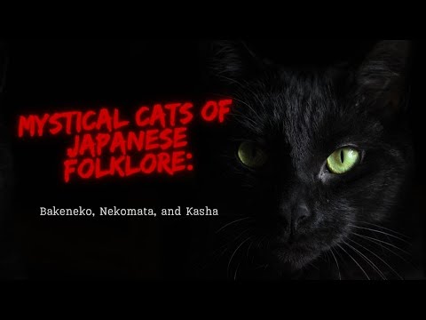Mystical Cats of Japanese Folklore: Bakeneko, Nekomata, and Kasha