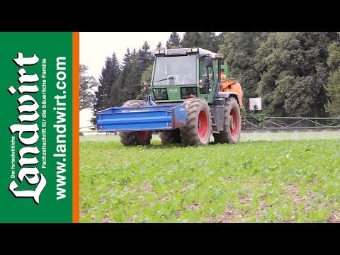 Fungizidbehandlung von Raps im Herbst