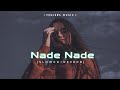 Nede Nede Slowed Reverb Lofi Songs Feelers Music