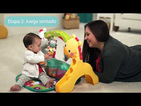 Gimnasio Fisher Price Gran Ciudad De Actividades