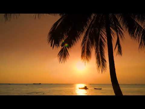 Just the Way You Are - Tadao Hayashi