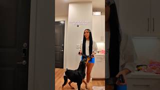 Spend the night with me & my 2 dobermans #dogmom #doberman #nightroutine