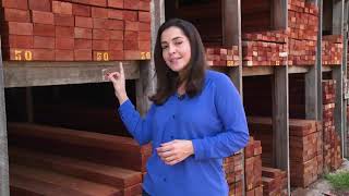 Miniatura do vídeo