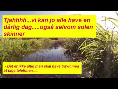 Vi kan alle have en dårlig dag....selvom solen skinner....