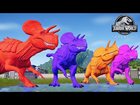 NEW !! ULTIMASAURUS VS T REX VS SPINOSAURUS | DINOSAUR FIGHTING || JURASSIC WORLD EVOLUTION