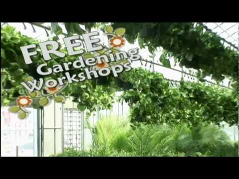 Mood Creations / Brooklyn Plantology