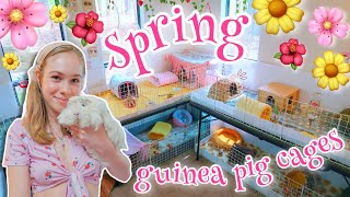 DECORATING MY GUINEA PIG CAGES FOR SPRING! 🌸🌹🌻