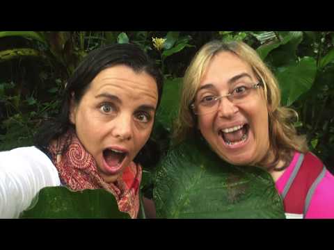 Luces del ALMA LMA 2015