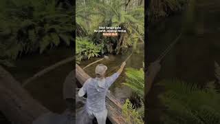 Download lagu story wa mancing 30 detik #hobimancing #mancing #setatuswa30detik #ll #shorts #shortvideo #trending mp3