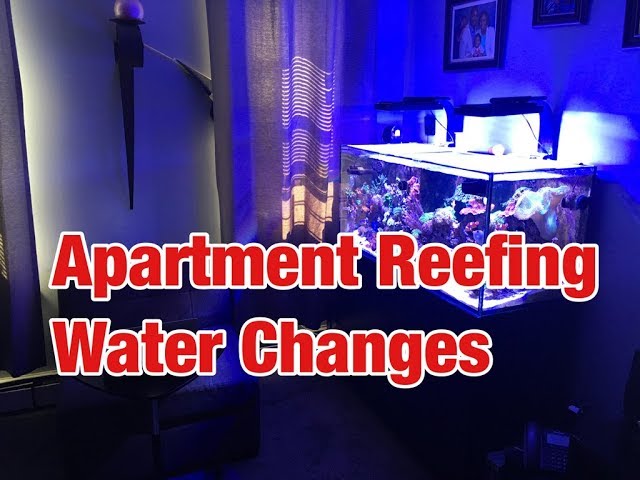 Reef Tank Water Changes in an Apartment