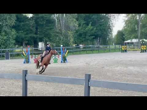 Beaulieu Springbreak video 1