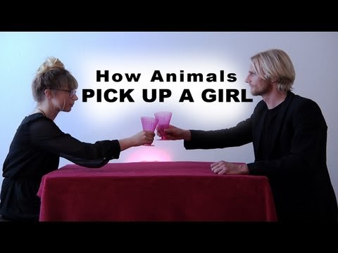 動物たちの食べ方 - PICK UP A GIRL "Style" - オリジナル (How Animals eat their food - PICK UP A GIRL "Style" - Original)