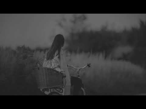 Lazarus Moment - Grassy Plains