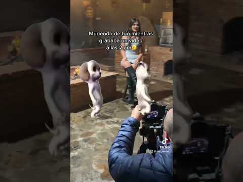 Las anécdotas qué hay tras una grabación 😅🫣 #alessa #grabaciones #videomusical