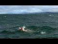 Woman's dangerous swim to Golden Gate Bridge makes history