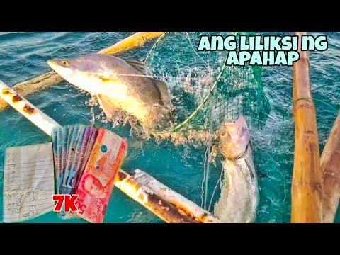 SUNOD SUNOD ANG HULI NA APAHAP "Catch, Cook and Sell" | IMPERANZA