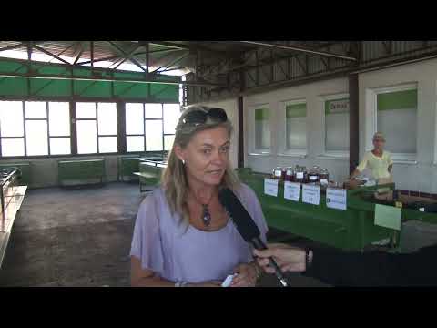 Anketa staroturanského trhoviska GDM