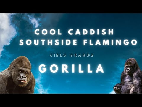 Cool Caddish X Southside Flamingo - GORILLA - (Cielo Grande )