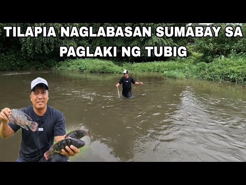 Mga Tilapia sa Ilog Lumabas Sumabay sa baha Catch &Cook..Pamimingwit sa Ilog